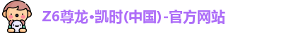 Z6尊龙·凯时(中国)-官方网站